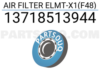 Hengst 13718513944 ÉLÉMENT DE FILTRE À AIR-X1(F48)