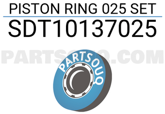 NPR SDT10137025 JEU DE SEGMENTS DE PISTON 025