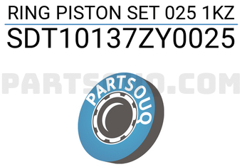 NPR SDT10137ZY0025 JEU DE SEGMENTS DE PISTON 025 1KZ