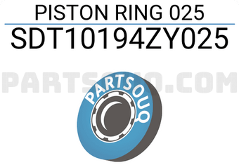 NPR SDT10194ZY025 PISTON RING 025