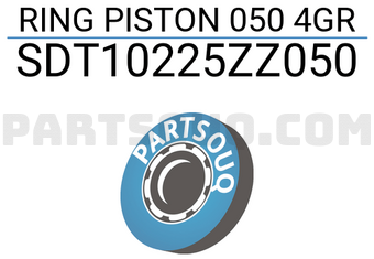 NPR SDT10225ZZ050 RING PISTON 050 4GR
