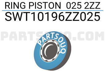 NPR SWT10196ZZ025 RING PISTON 025 2ZZ