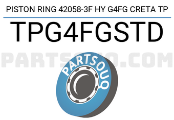 TP TPG4FGSTD حلقة مكبس 42058-3F HY G4FG CRETA TP