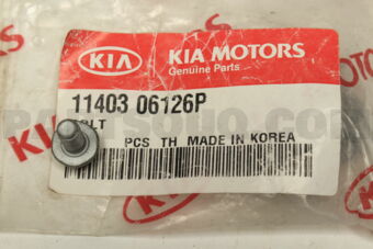 1140306126P BOLT