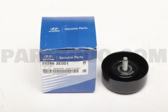 252863E001 IDLER ASSY