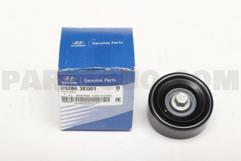 252863E001 IDLER ASSY