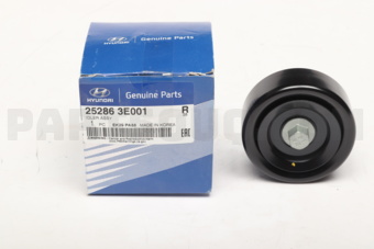 252863E001 IDLER ASSY