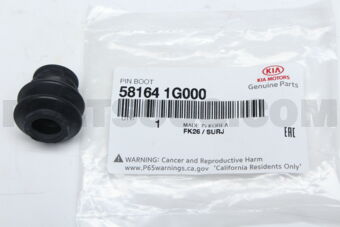 581641G000 PIN BOOT