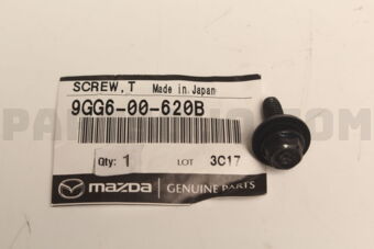 9GG600620B SCREW,TAPPING