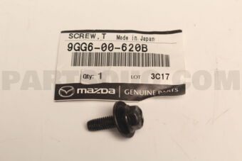 9GG600620B SCREW,TAPPING