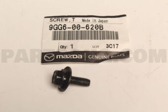 9GG600620B SCREW,TAPPING