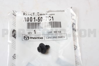 A001507C1 RIVET