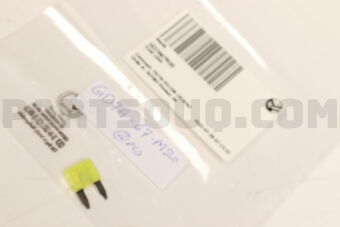 GD7A67M20 FUSE (20A)