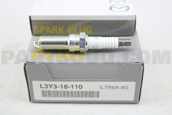 L3Y318110 PLUG,SPARK