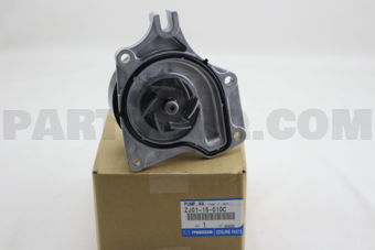 ZJ0115010C PUMP,WATER