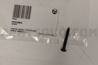 0145100041 SCREW