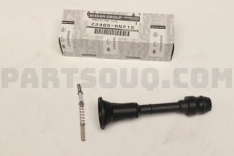 224656N215 PROTECTOR-IGNITION COIL