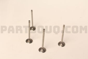 NB870 ENGINE VALVES 4 PCS)