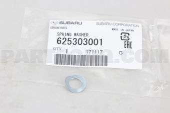 625303001 SPRING WASHER