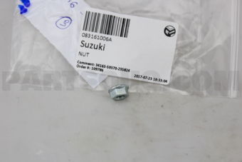 083161006A NUT