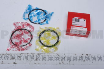 359673F025 PISTON RING