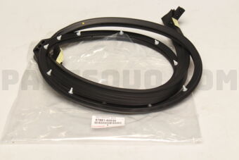 6788160030 WEATHERSTRIP, B