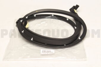 6788160030 WEATHERSTRIP, B
