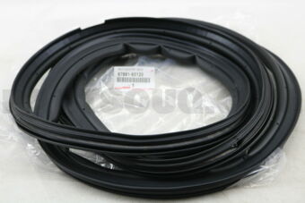 6788160120 WEATHERSTRIP, BACK DOOR