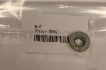 9017910087 NUT