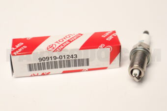 9091901243 PLUG, SPARK