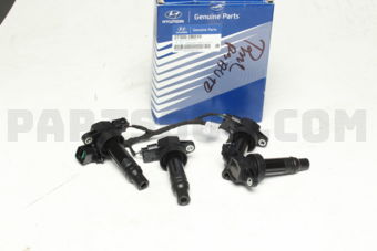 Hyundai / KIA 273002B010 COIL & EXT. WIRE