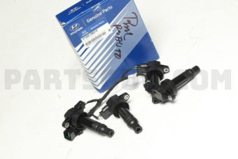 Hyundai / KIA 273002B010 COIL & EXT. WIRE