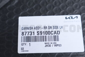 Hyundai / KIA 87731S9100CAD GARNISH ASSY-RR DR SIDE LH