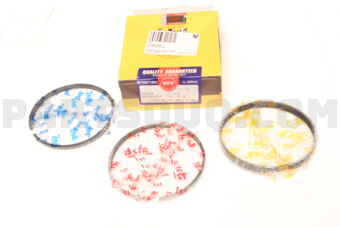 NPR SDT10193050 PISTON RING 050 SET