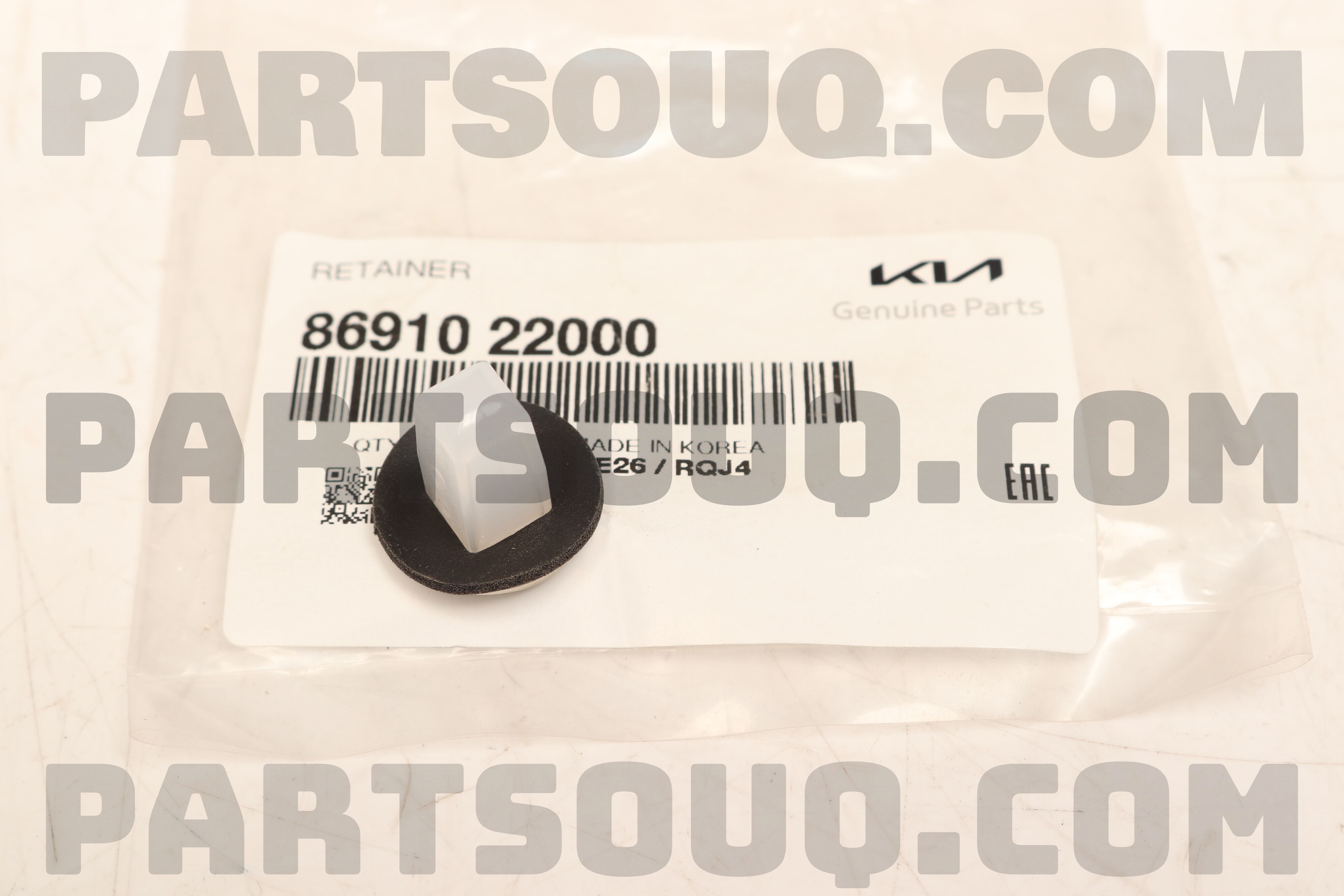 8691022000 RETAINER