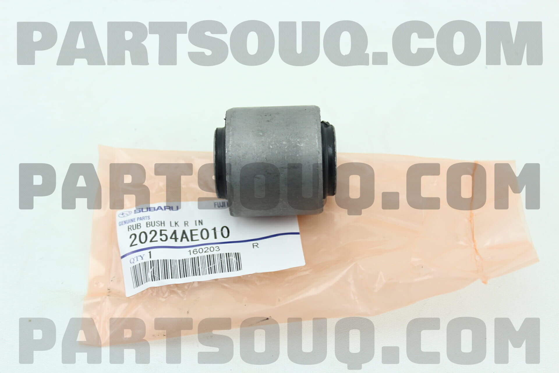 20254AE010 RUB BUSH LK R IN