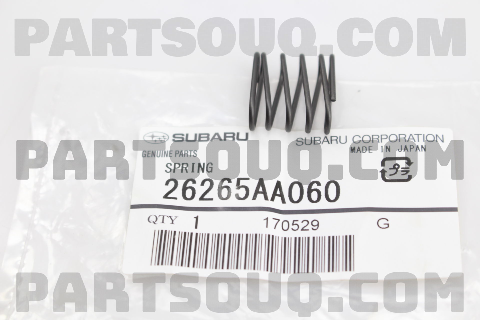 26265AA060 SPRING