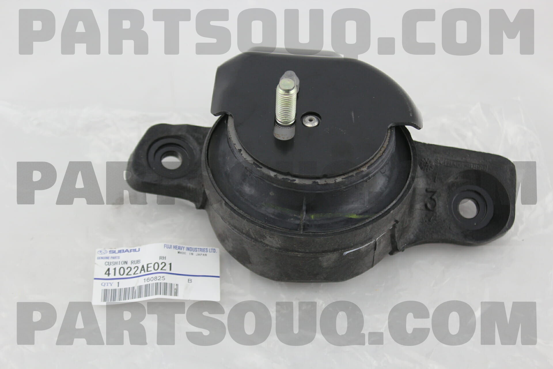 41022AE021 CUSHION RUB RH