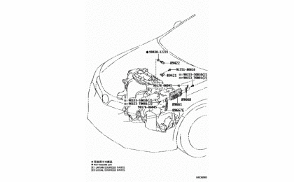 Electronic fuel injection system