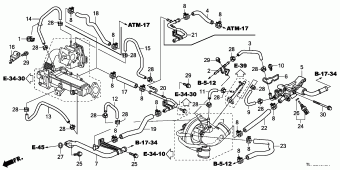 ACCORD General 17TL1C01