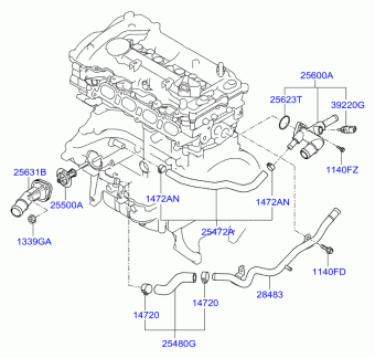 Elantra 17.01.2012 2012