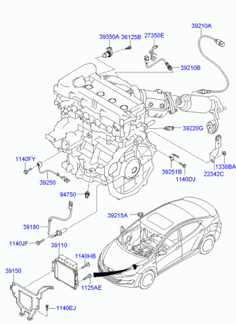 Elantra 17.01.2012 2012