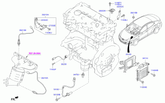 Elantra 10.12.2015 2016