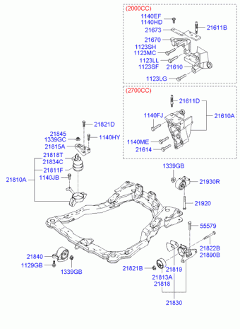 Tiburon 13.02.2003 2003