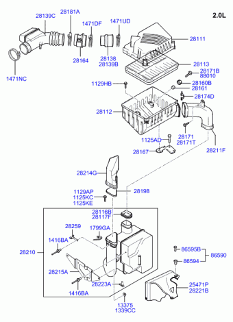 Tiburon 13.02.2003 2003