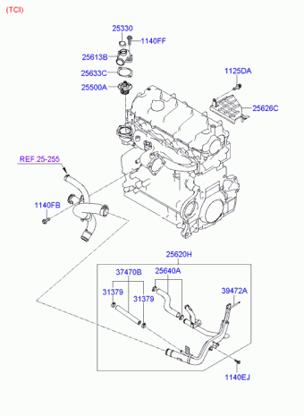 Sonata 29.08.2006 2007