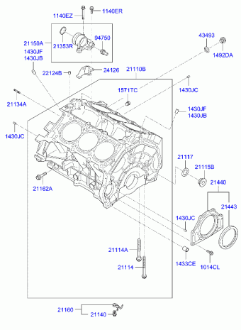 Genesis coupe/Rohens coupe 22.01.2009 2009