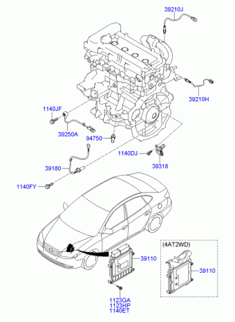 Elantra/Avante 25.11.2010 2011