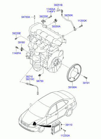 Elantra/Avante 19.02.2010 2011