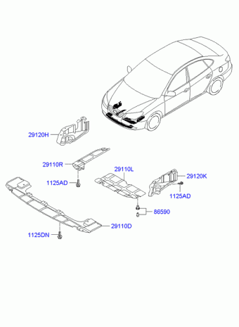 Elantra 11.01.2010 2010